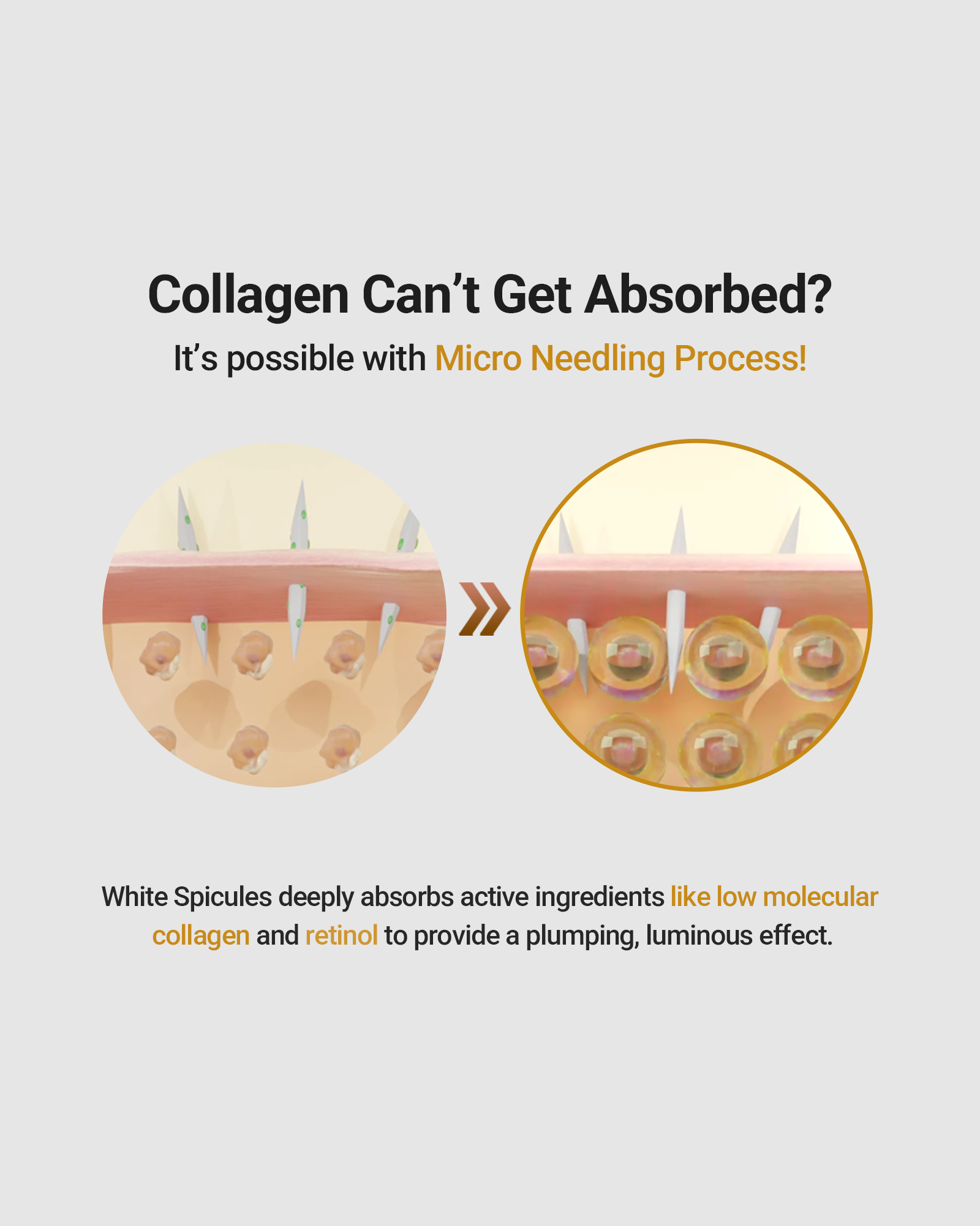 Collagen Boosting White Spicule Cream